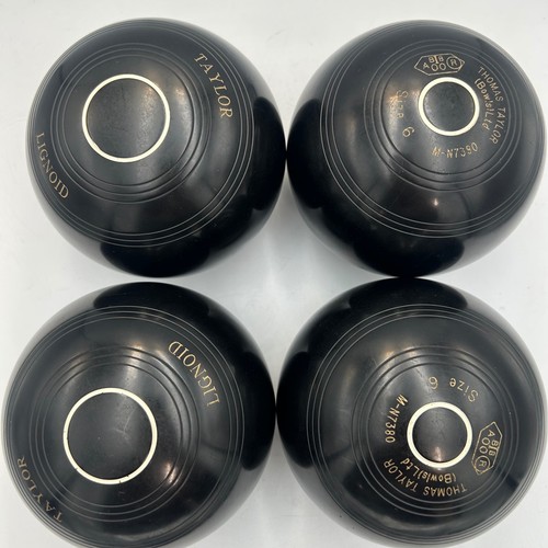 Thomas taylor lignoid size - size, 6