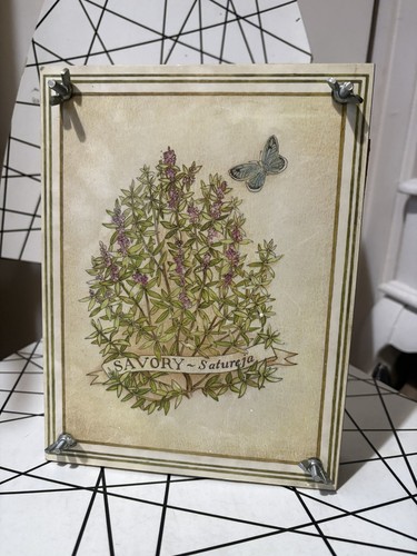 Vintage flower press savory - flower,
