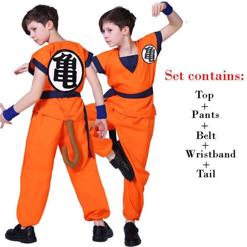 Adult kids anime - dragon, ball