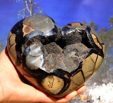 Huge Septarian Nodule Polished