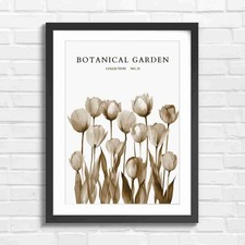 Pastel Tulips Botanical Garden