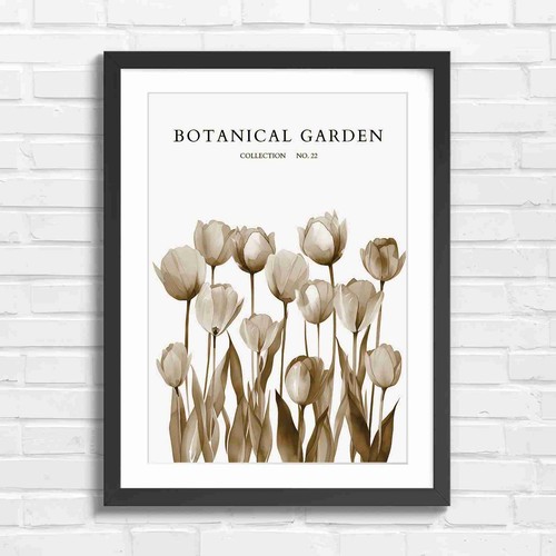Pastel tulips botanical - tulips,