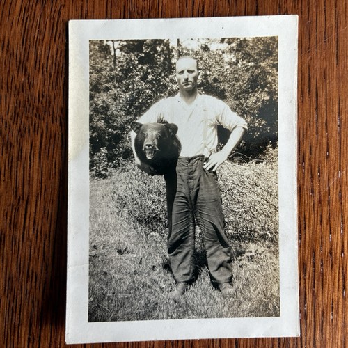 Odd man holds - animal, head