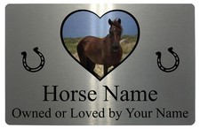 Personalised Horse Name Photo
