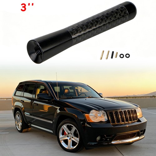 Short carbon antenna aerial - short,
