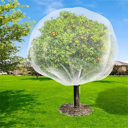 Garden plant tree fruit - fruit, cover