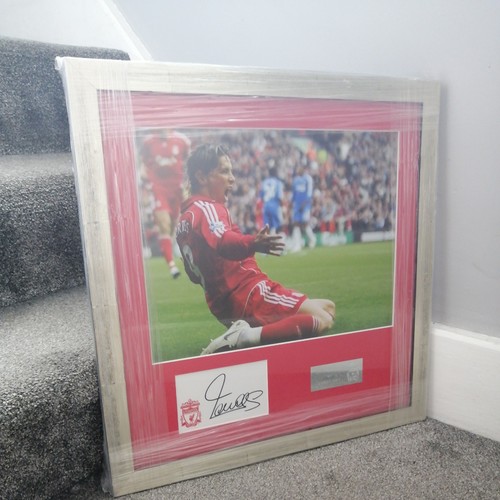 Massive 50x50 signed fernando - massive, 50x50"