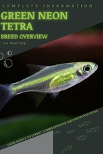 Iva Novitsky Green Neon Tetra