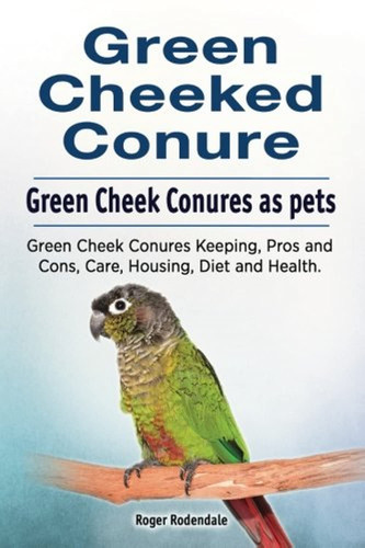 Green cheeked conure - conure.,