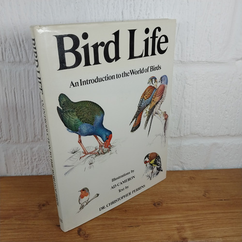 Bird life introduction to - bird, an