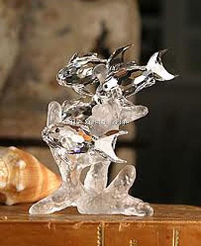 Swarovski crystal school - school, of
