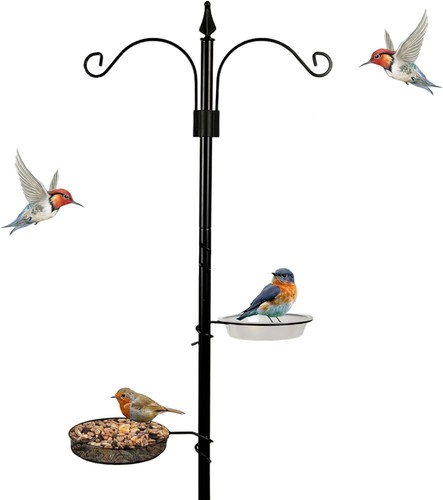 New traditional bird - new,