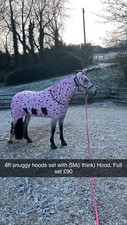 Horse Rugs