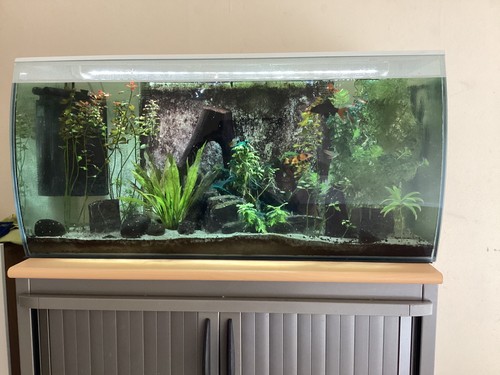 Fluval flex fish tank - tank, 123