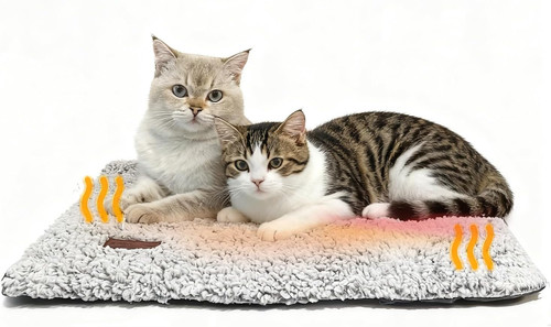 Self heating cat - cat, bed