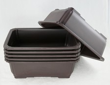 6 Rectangular Plastic Bonsai /