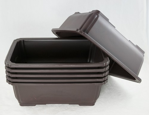 Rectangular plastic bonsai - plastic,