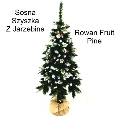 Mountain ash christmas - ash, on
