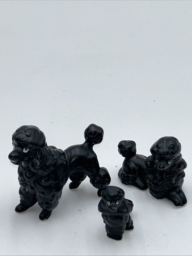 Vintage miniature poodle - miniature,