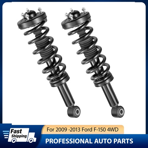 Pair front complete shock - pair,