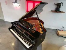 SELF PLAYING PIANO - Brand New Black Baby Grand Piano