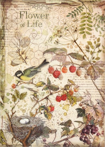 Rice paper for - for, decoupage