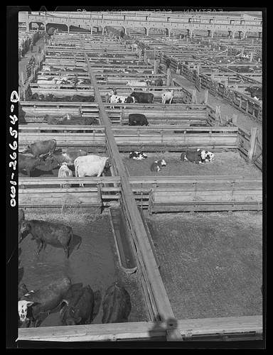 Photo chicago illinois 1943 - photo:chicago,