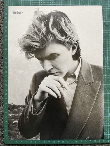 David sylvian poster magazine - david,
