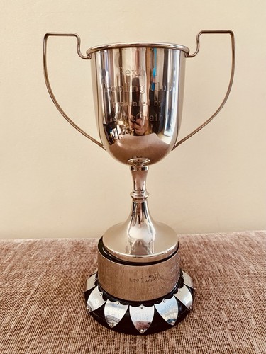 Silver trophy - trophy, 10”