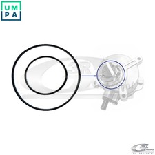 GASKET VACUUM PUMP 74100 FOR