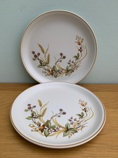 Vintage St Michael M&S "Harvest" Dinner Plates x 2 10.5"/26.5 cm 1980's