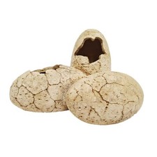 Betta Dinosaur Eggs Aquarium