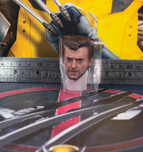 Hot toys wolverine head - toys,