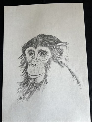 Original animal pencil - original,