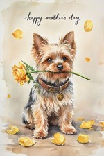 Large Luxury Yorkshire Terrier
