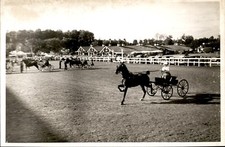 GA156 Original Photo HARNESS