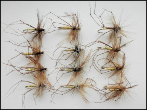 Barbless daddy long - barbless, legs