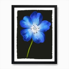 Blue Flower Art Print Framed Wall Art Poster Canvas Print Picture