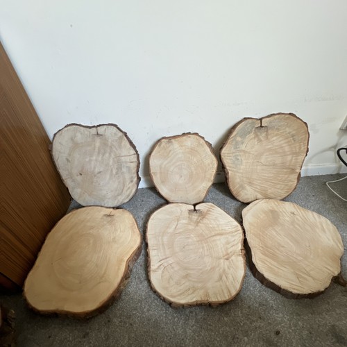 Log wood slices around - slices,