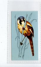 (Jd4259) TETLEY,BRITISH BIRDS,BEARDED TIT,1970,#45
