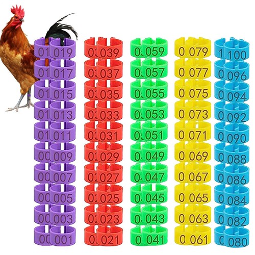 100pcs chicken leg - 50/100pcs, rings
