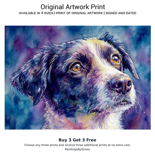 Border collie dog print - border,