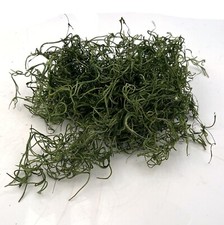 Dried Spanish Moss | Dark