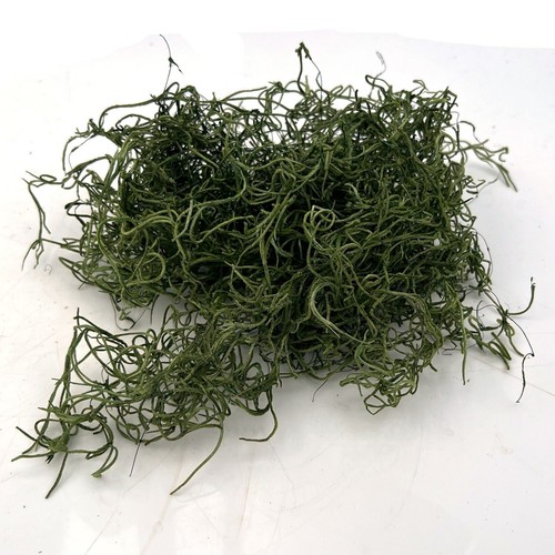 Dried spanish moss dark - dried,
