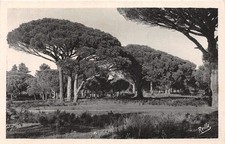 83-ESTEREL-N�T2905-F/0013