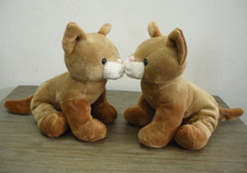 2 Adorable Twin Ginger Kittens