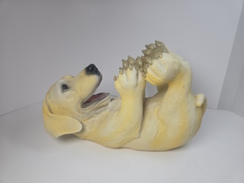 Golden labrador retriever - golden,