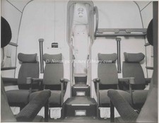 ORIGINAL PHOTOGRAPH  SHORTS