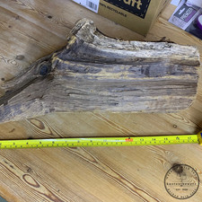 Driftwood - Nice  Large  Piece of  Naturally sea water worn  for arts and crafts
