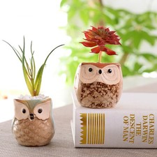 6x Mini Ceramic Plant Pot